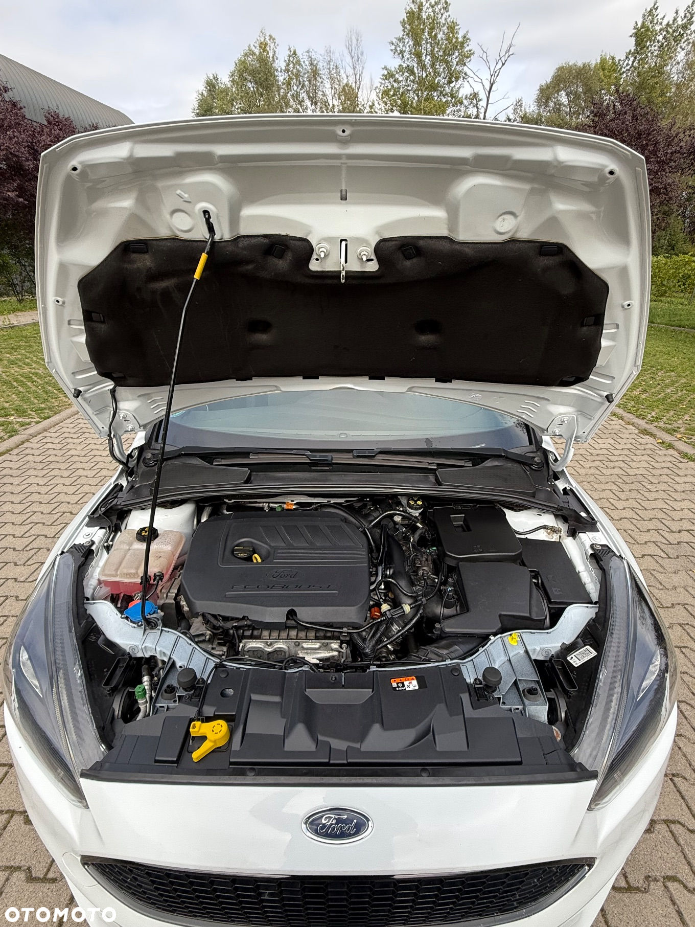 Ford Focus 1.5 EcoBoost Start-Stopp-System ST-Line - 13