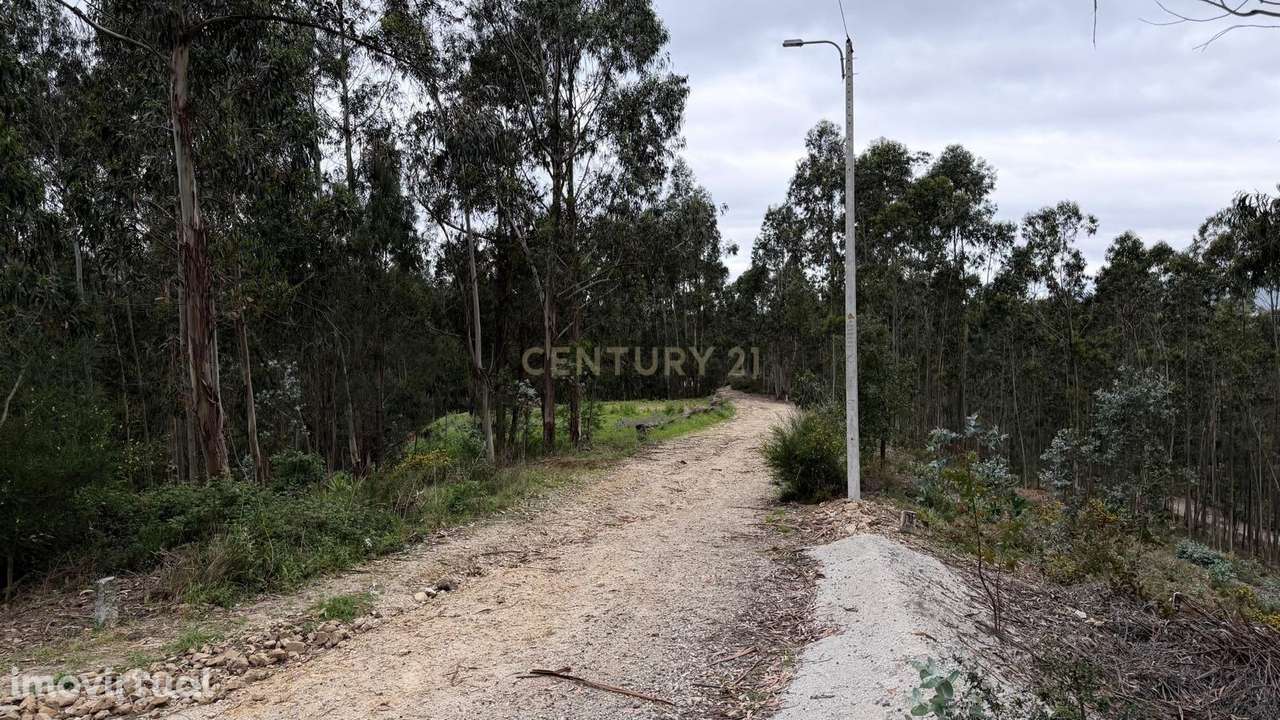 Terreno com 2000m2 -Lagares, Penafiel - Grande imagem: 5/8