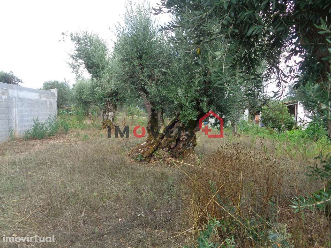Terreno com viabilidade de construção - Grande imagem: 5/5