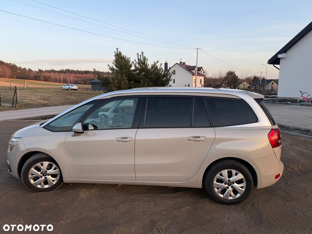 Citroën C4 Grand Picasso 1.6 BlueHDi Shine S&S - 19