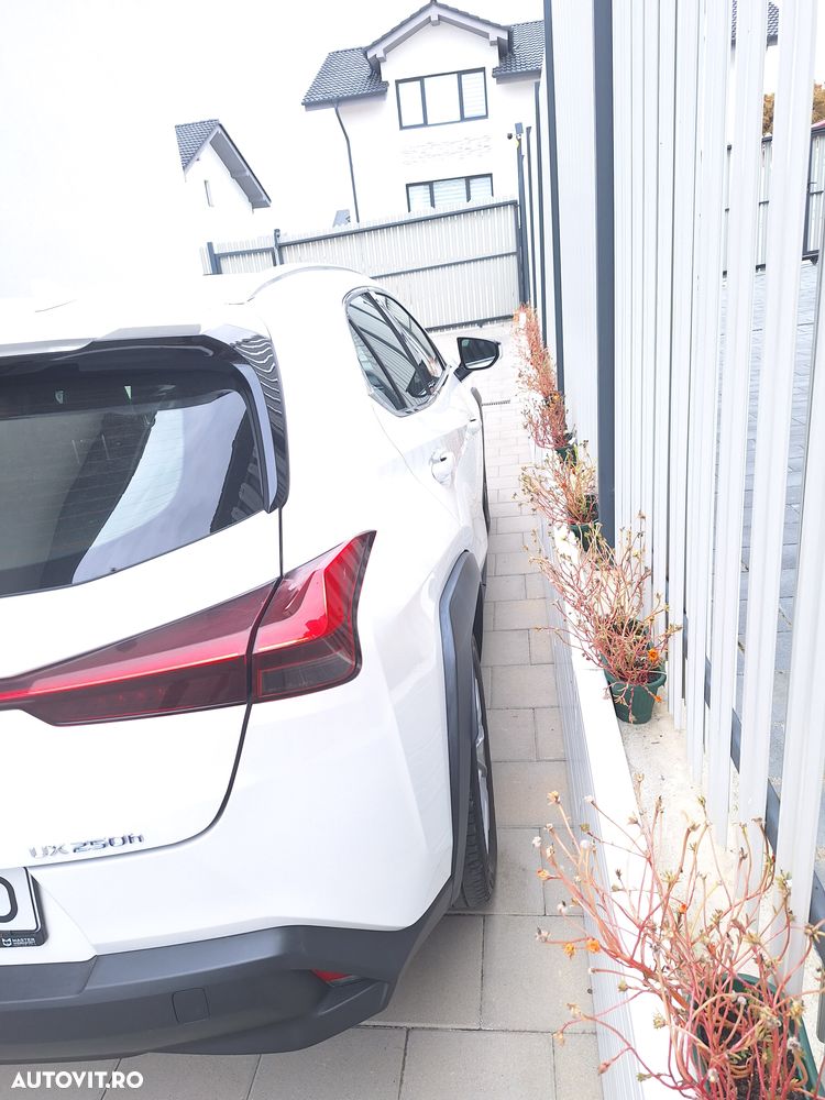 Lexus UX 250h FWD Executive - 16