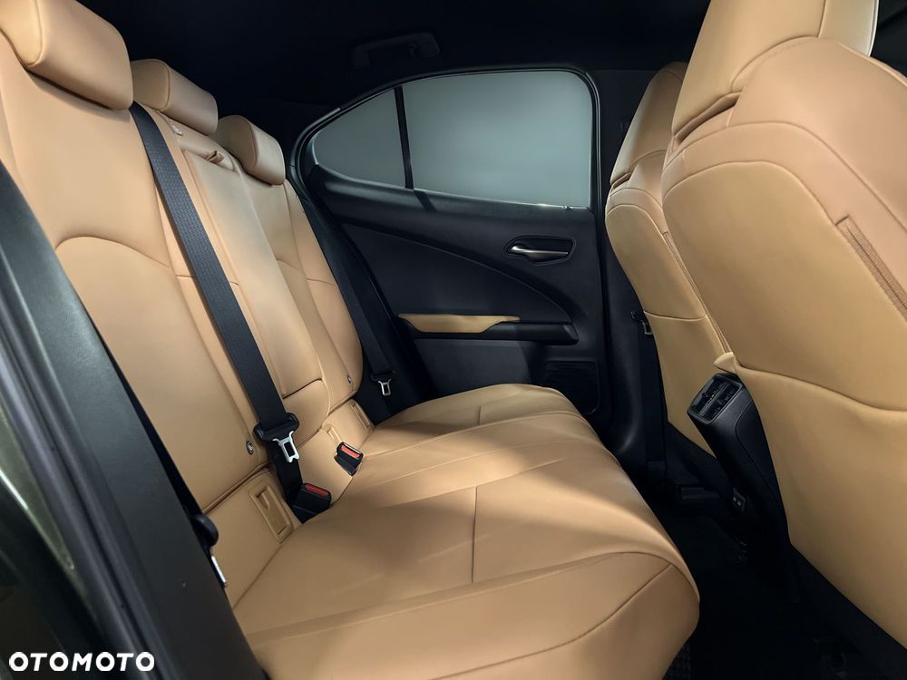 Lexus UX 250h GPF F Sport Design 2WD - 11