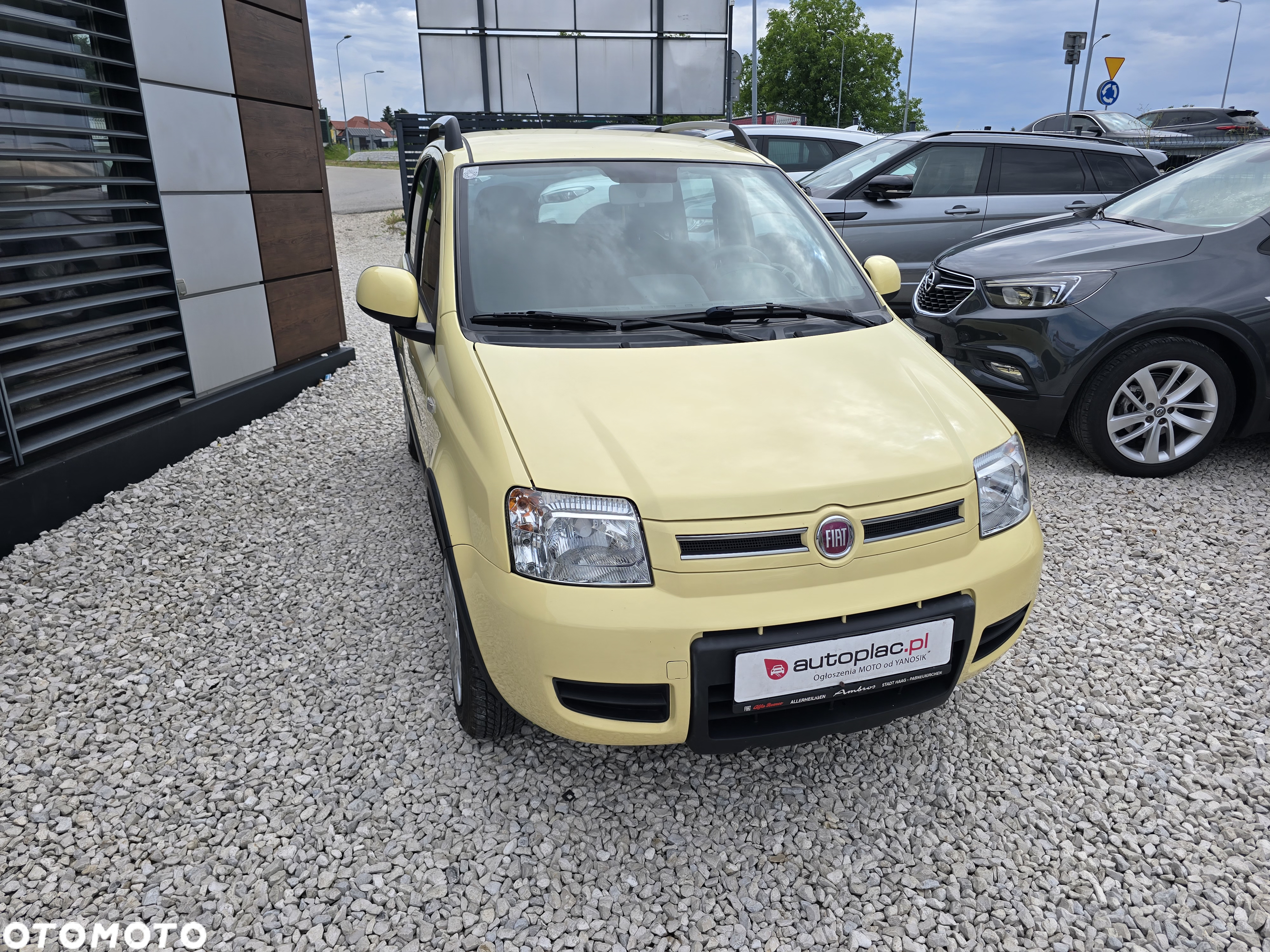 Fiat Panda 1.2 4x4 Fresh - 4