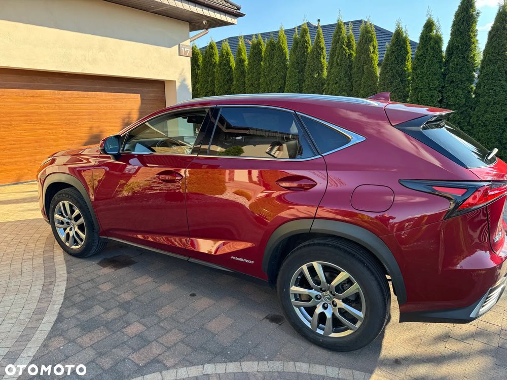Lexus NX 300h Comfort AWD - 1