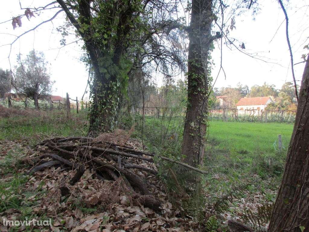 Terreno c/ 1300 m2 em Fornelos - Grande imagem: 5/6