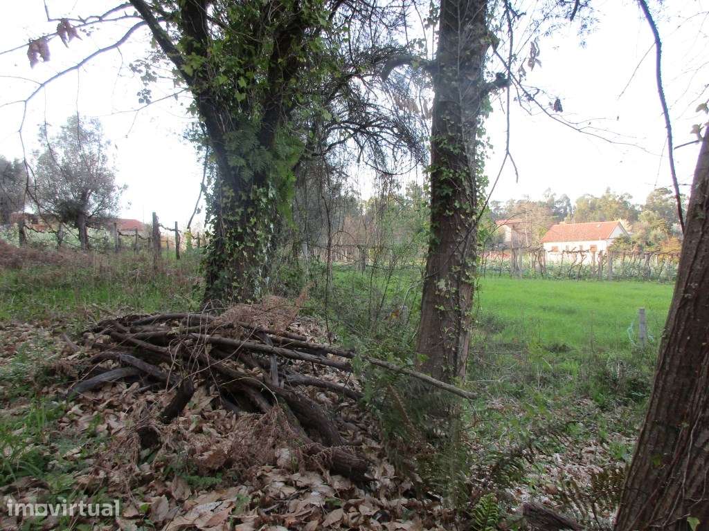 Terreno c/ 1300 m2 em Fornelos - Grande imagem: 5/6
