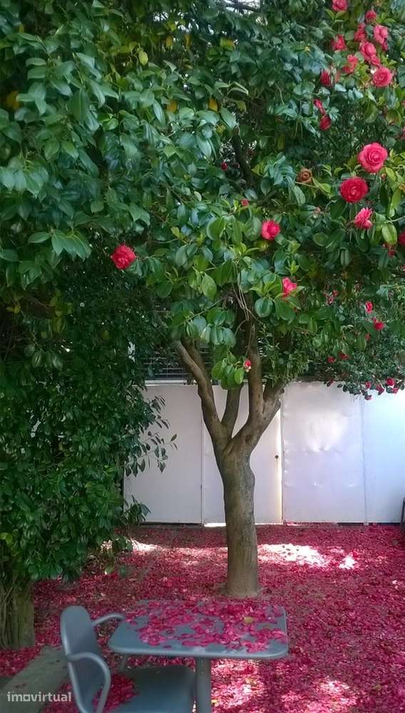 Moradia p/ venda com Jardim e Pátio Exterior | Campo Alegre, Porto - Grande imagem: 5/26