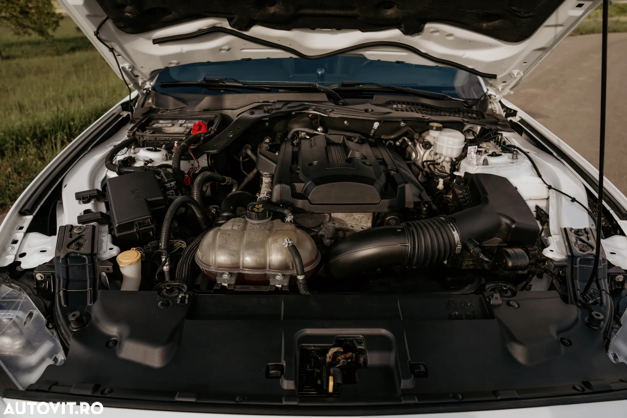 Ford Mustang 2.3 Eco Boost - 33
