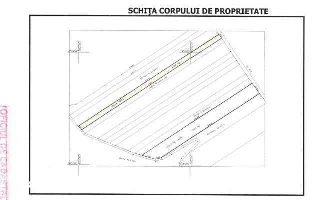 TEREN EXTRAVILAN 5000 MP || PETRACHIOAIA - Imagine principală: 3/3