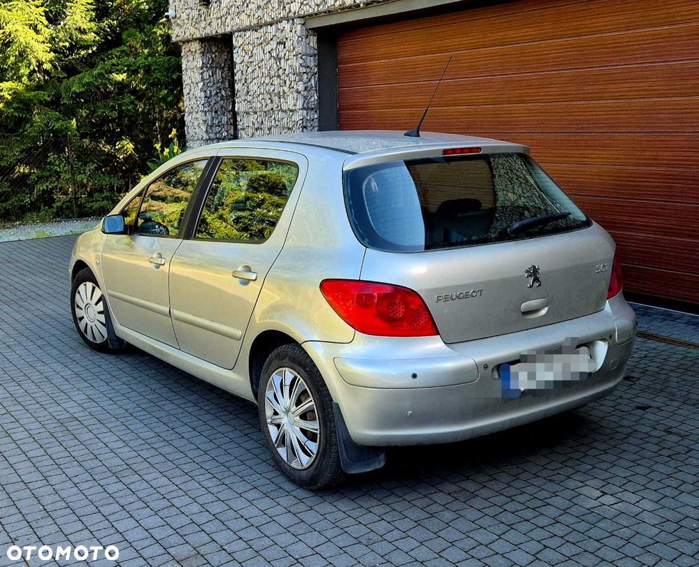 Peugeot 307 - 6