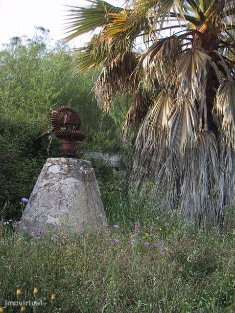 Quinta das Mouras - Grande imagem: 4/26