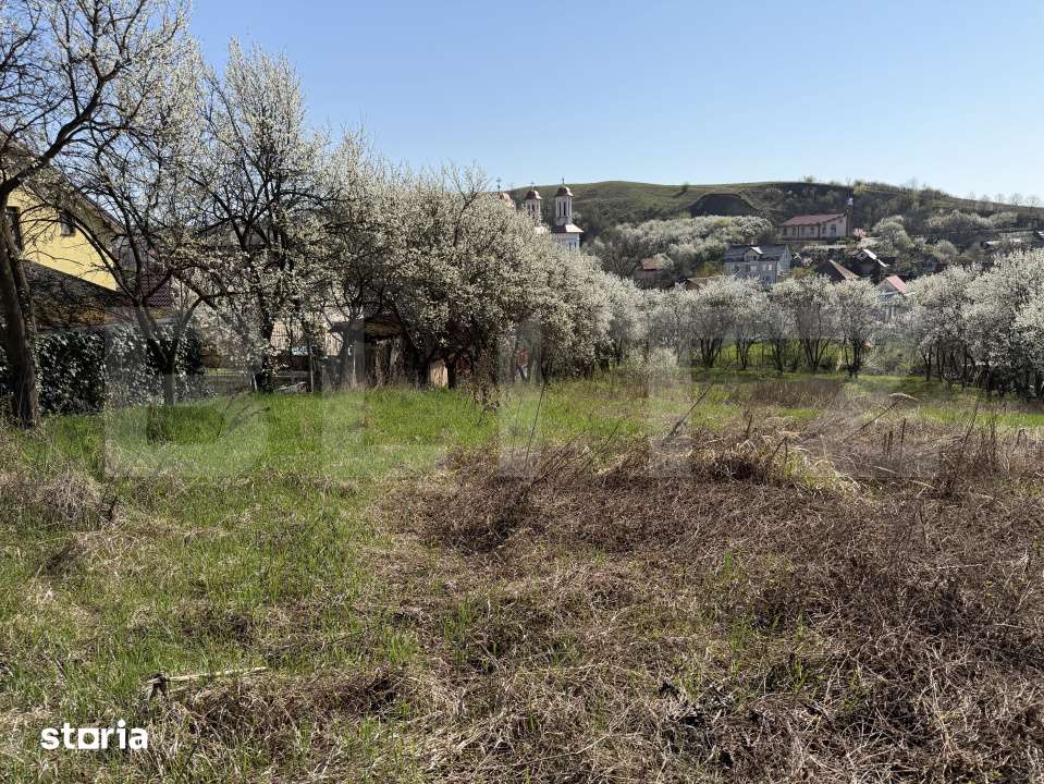 Teren intravilan in localitatea Criseni in suprafata de 2700 mp - Imagine principală: 2/4