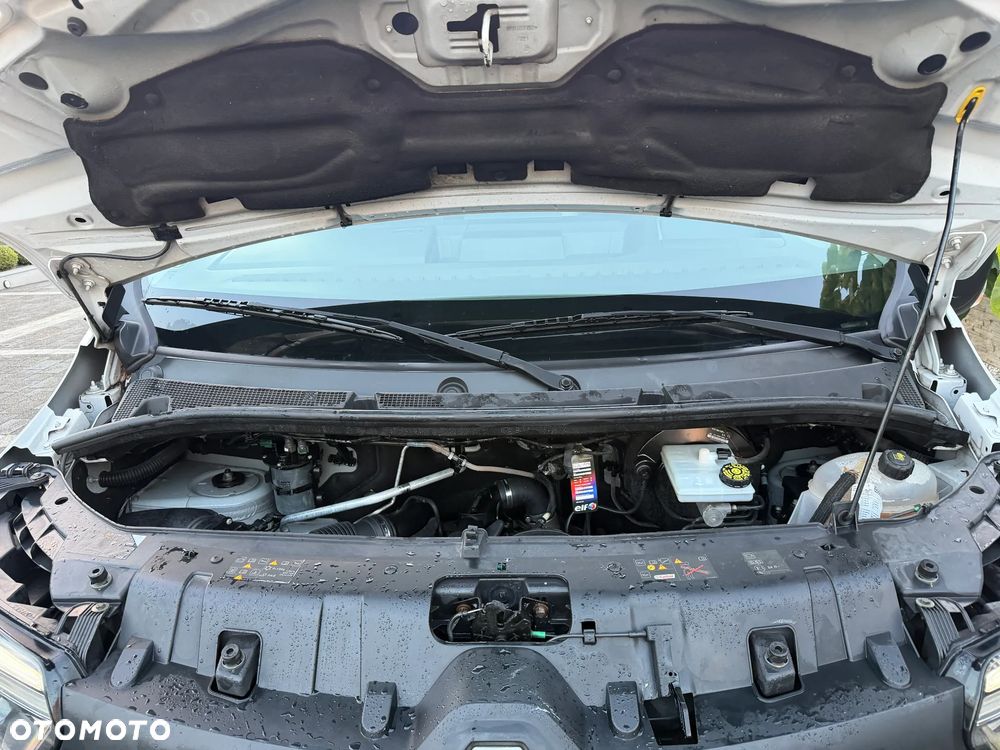 Renault Trafic - 20