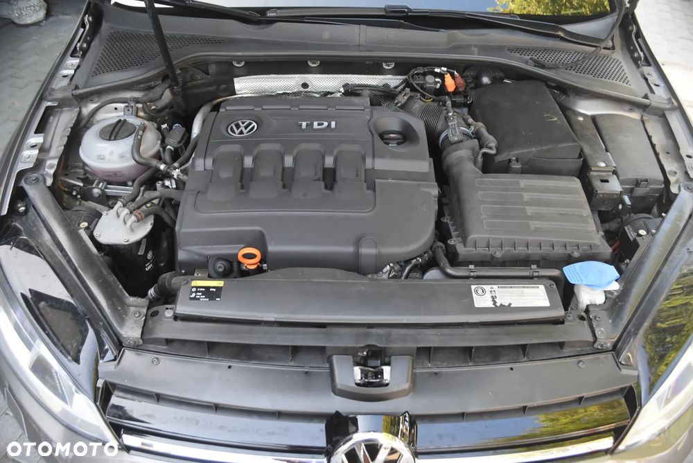 Volkswagen Golf 1.6 TDI BlueMotion Technology Cup - 15