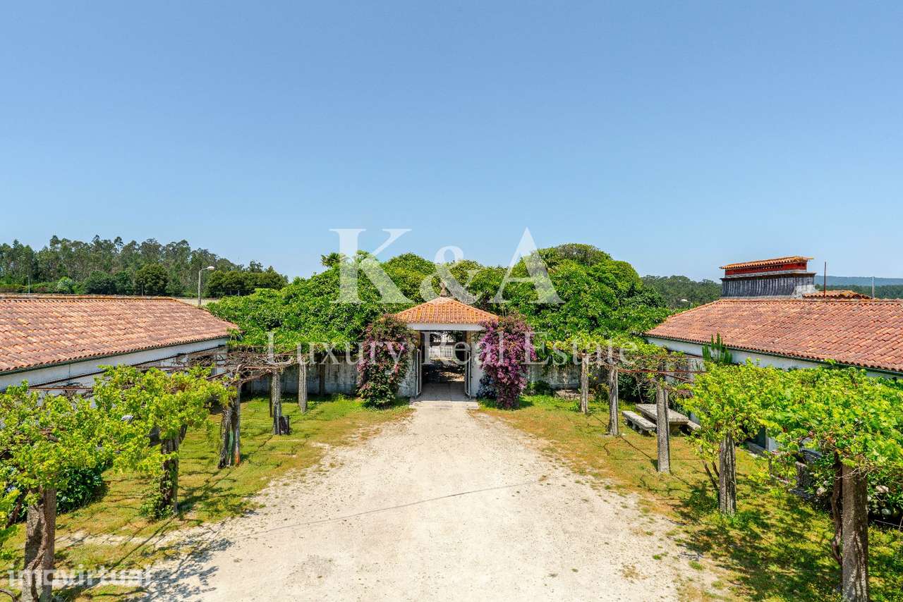 Quinta próxima do Porto - Grande imagem: 5/42
