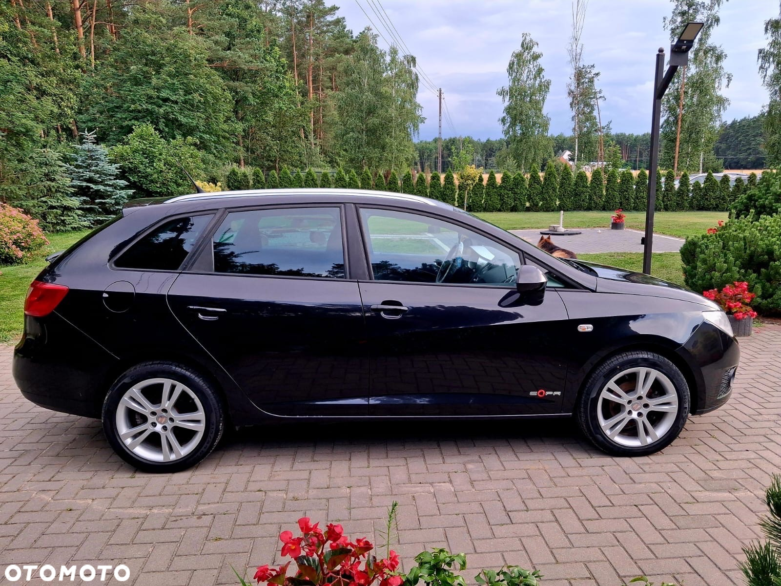 Seat Ibiza 1.4 16V SRC2 - 3