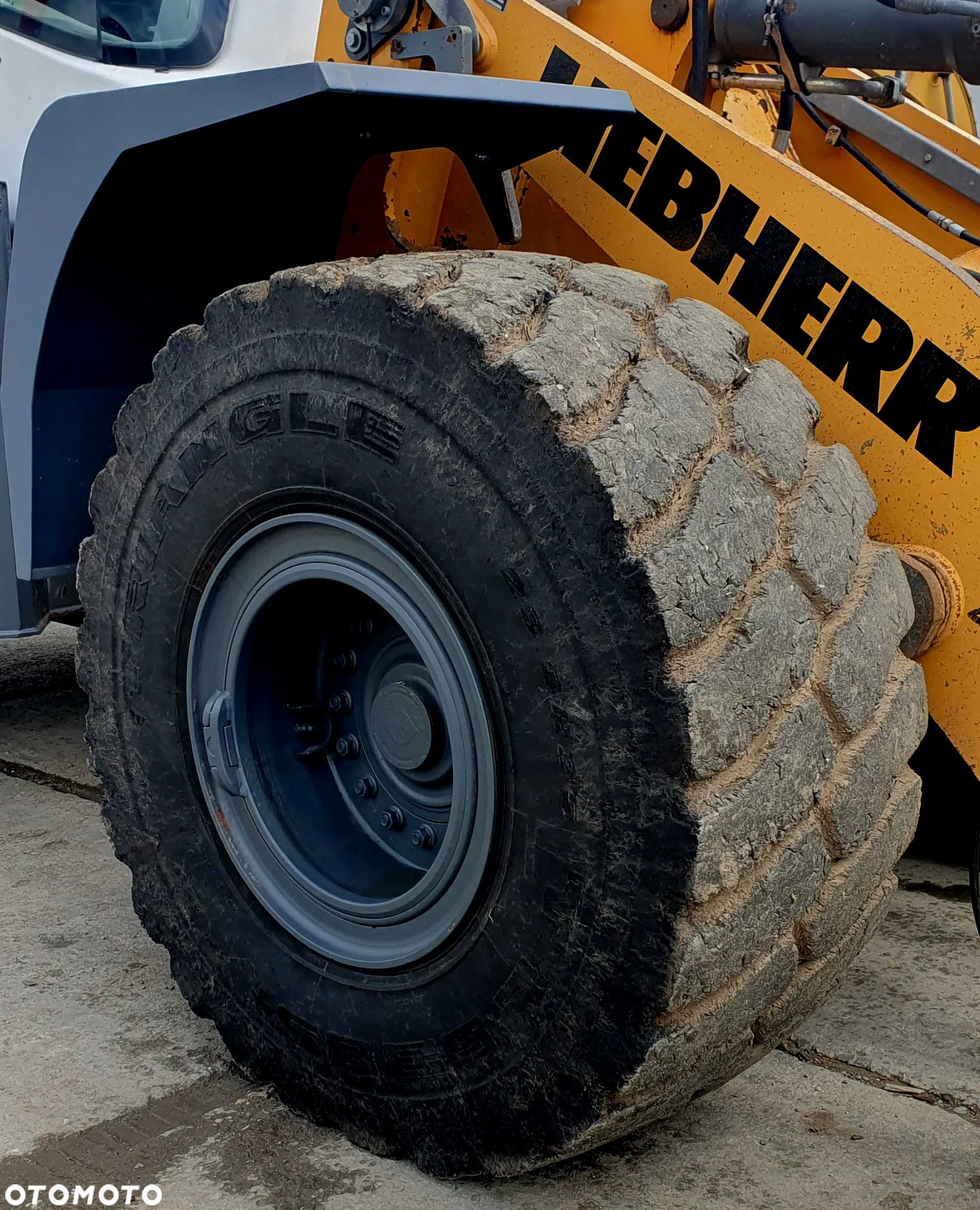 Liebherr L550 xpower - 16