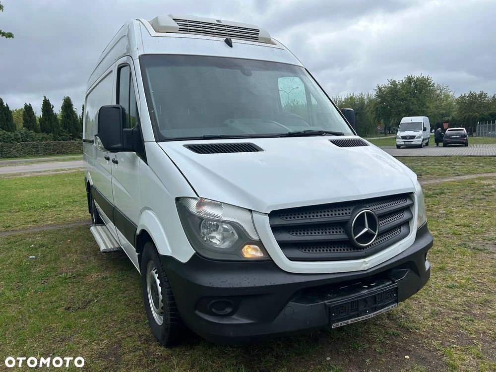 Mercedes-Benz Sprinter 316 cdi automat chłodnia mrożnia Thermoking - 11