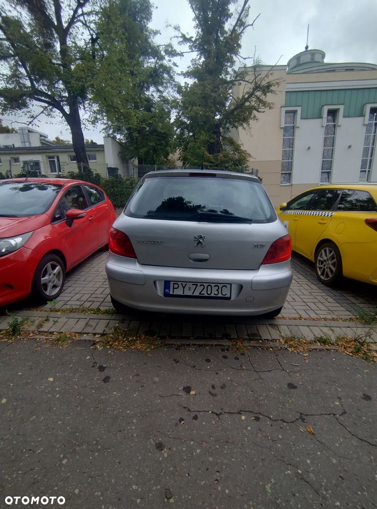 Peugeot 307 - 7