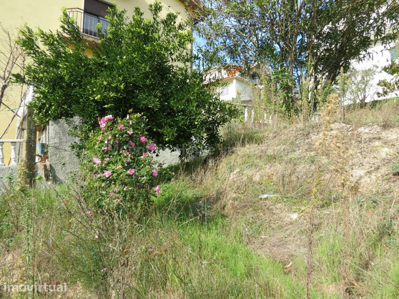 Lote de Terreno  Venda em São Gião,Oliveira do Hospital - Grande imagem: 4/9