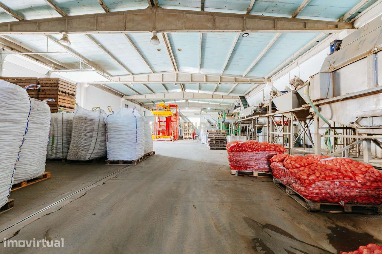Armazém industrial em Pegões, Montijo - Grande imagem: 4/29