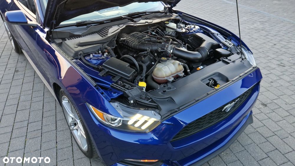 Ford Mustang - 11
