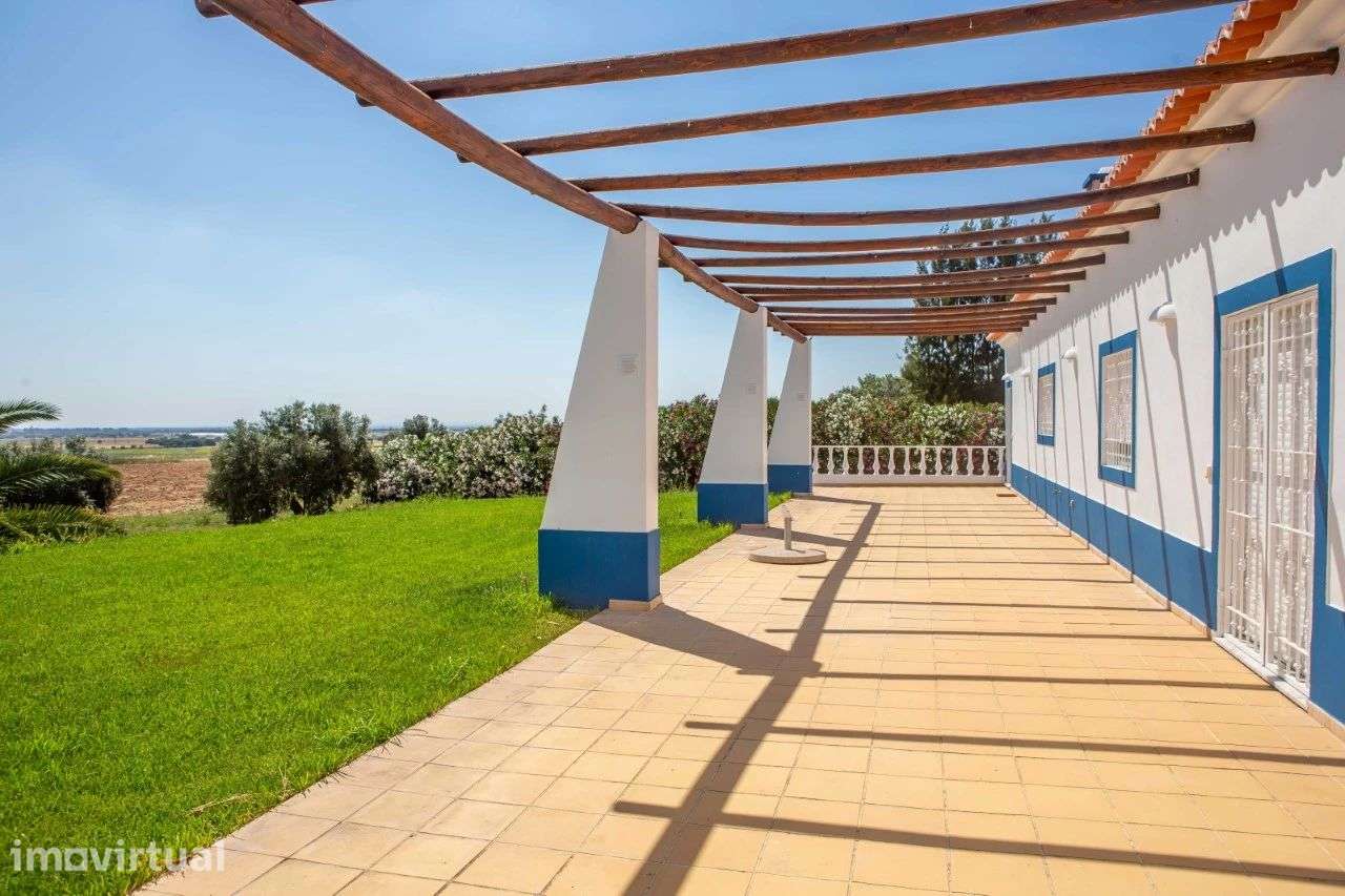 Quinta 29.1 ha, Ferreira do Alentejo - Grande imagem: 5/40