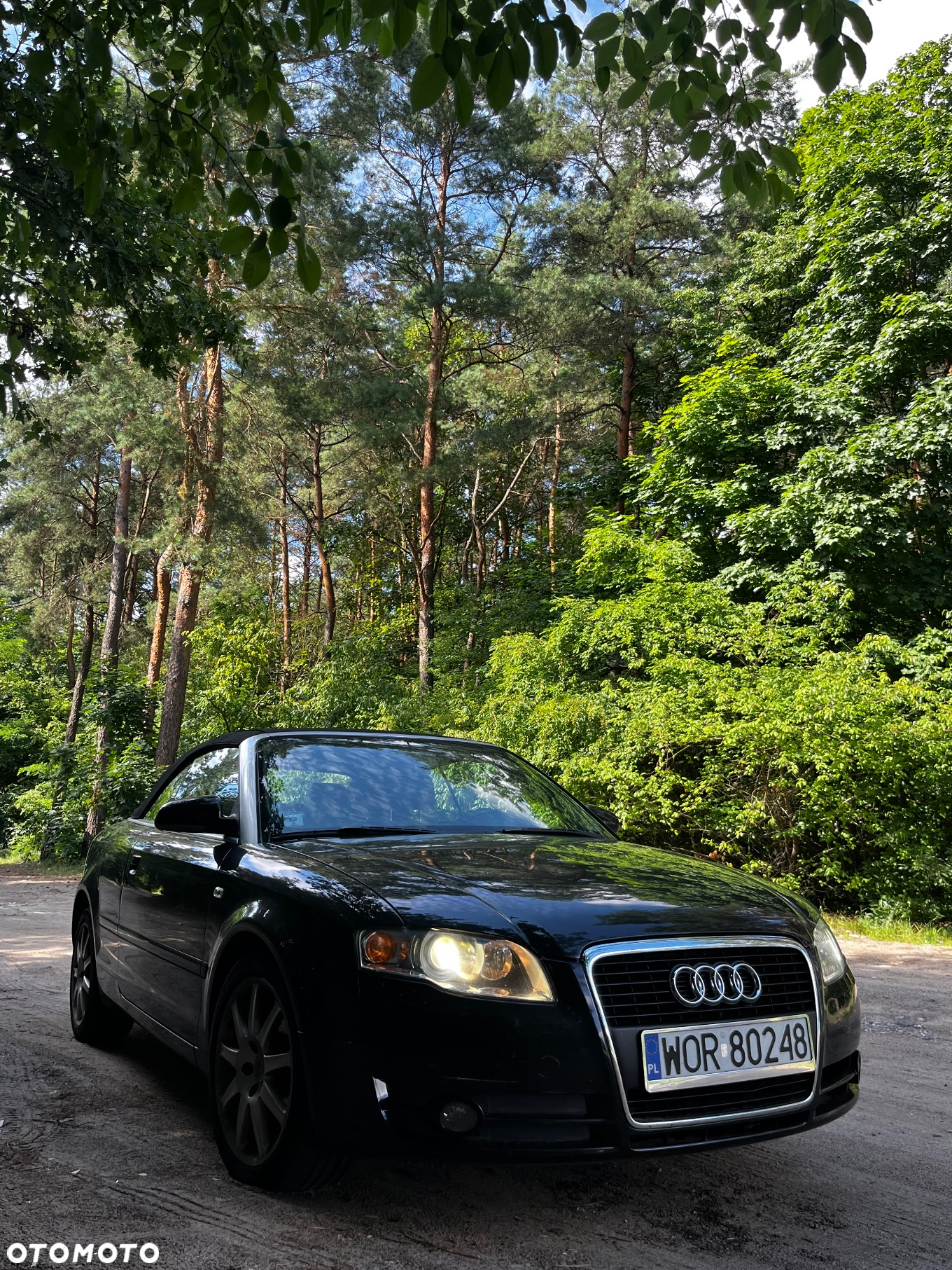 Audi A4 Cabriolet 2.0 TDI DPF - 16