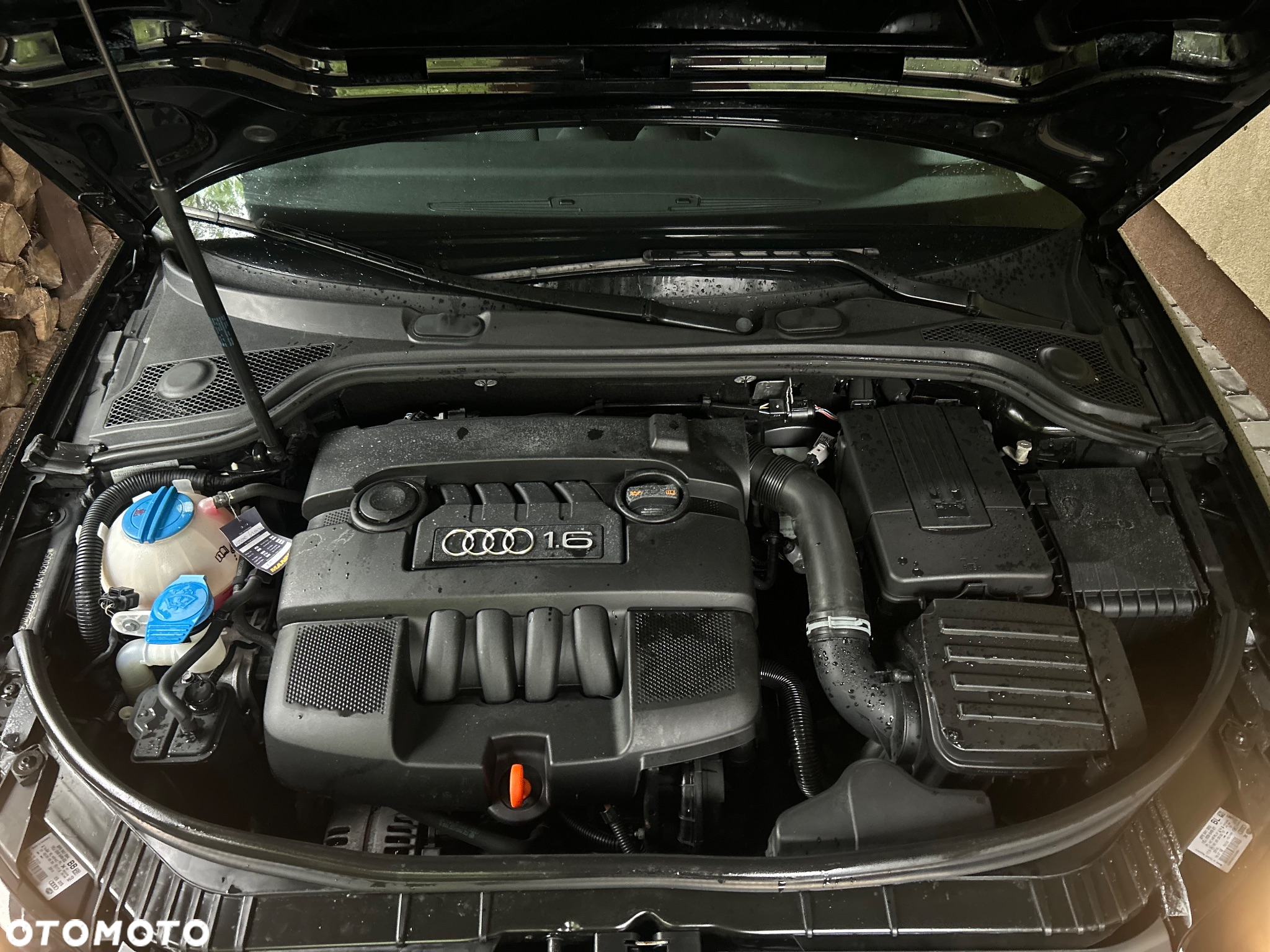 Audi A3 Sportback 1.6 Attraction - 11