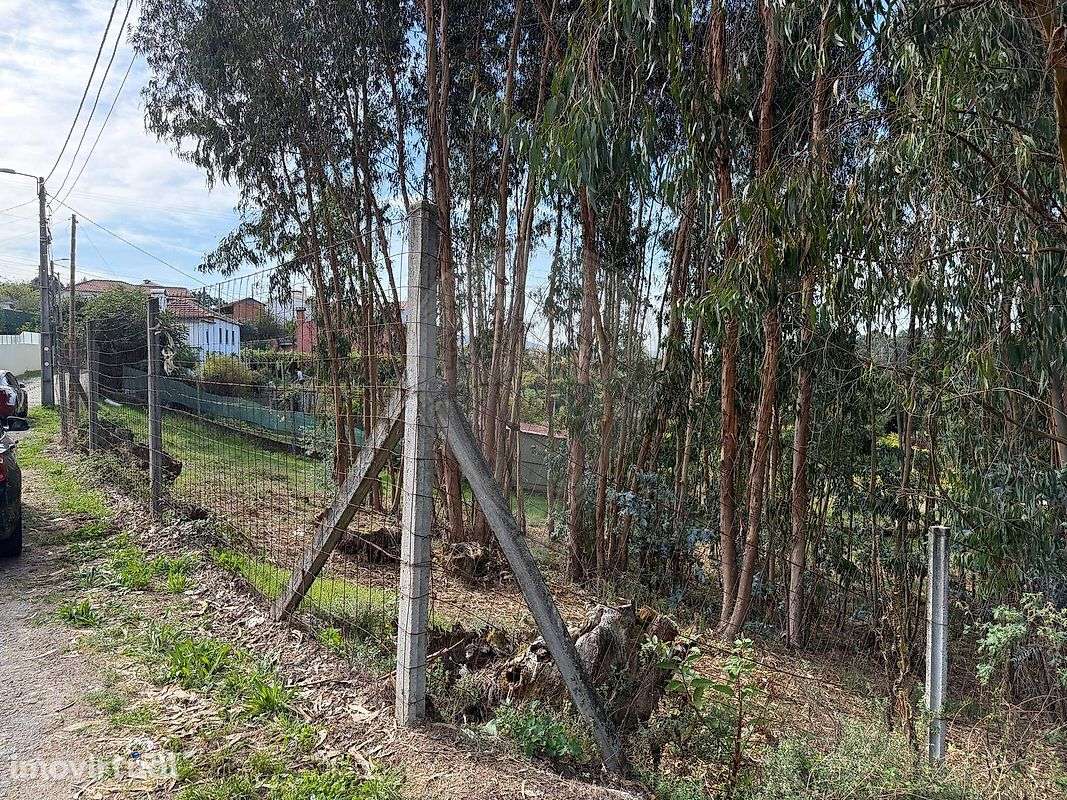 Terreno  para venda - Grande imagem: 2/3