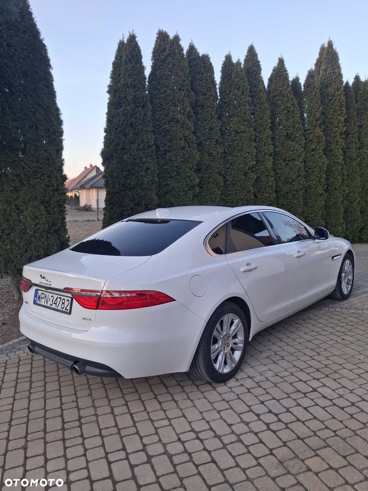 Jaguar Xf 2016 photo 5