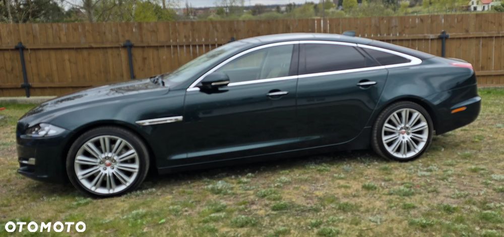 Jaguar XJ 3.0 D V6 Premium Luxury - 2
