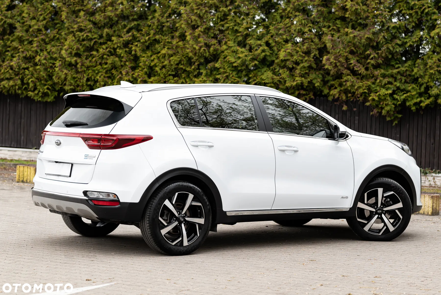 Kia Sportage 1.6 CRDI AWD Eco-Dynamics+ (48V M-H) DCT Vision - 14