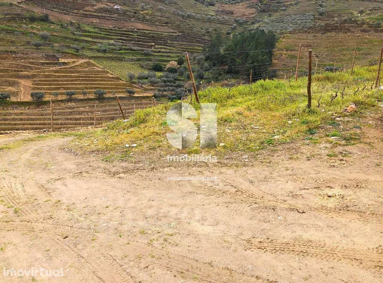 Terreno em Murça - Grande imagem: 5/31