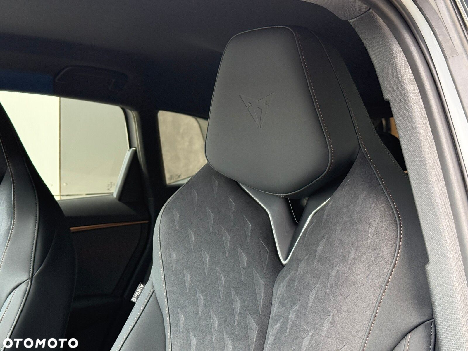 Cupra Terramar - 6