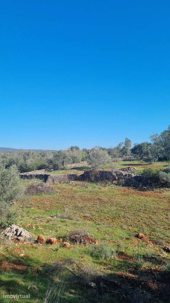 Terreno com 2720 m2 a 12min de Albufeira - DISPONIVEL - Grande imagem: 5/7
