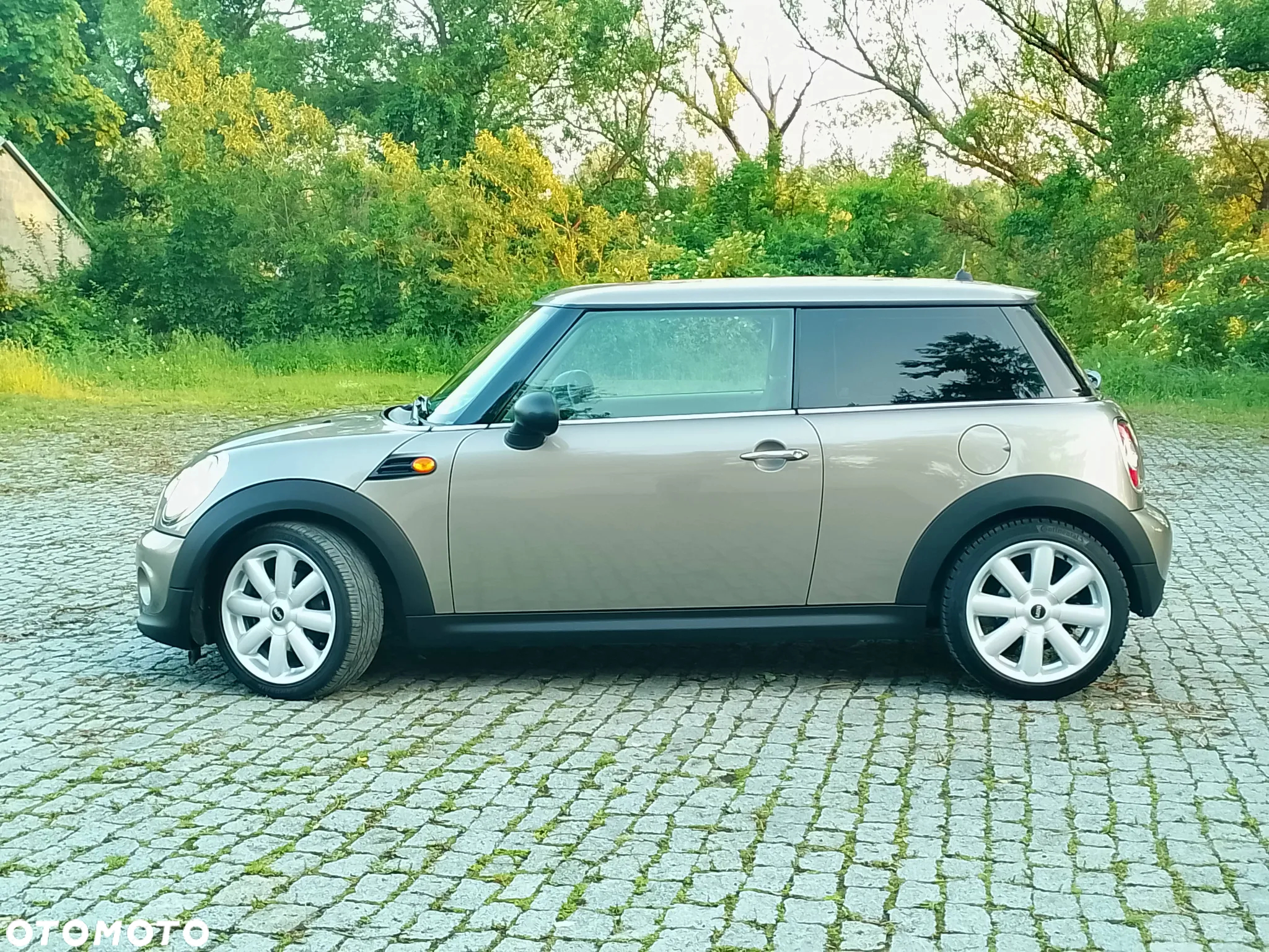 MINI ONE - 17