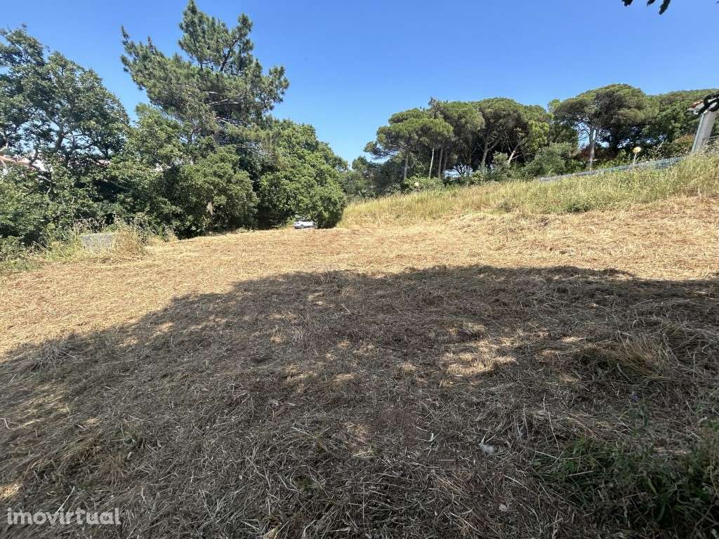 Lote para construção em Caldas da Rainha - Grande imagem: 5/9