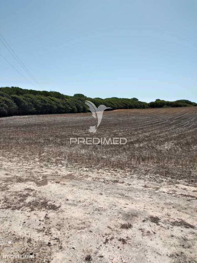 Quintinha com 7200 m2,Porto Côvo. - Grande imagem: 4/9