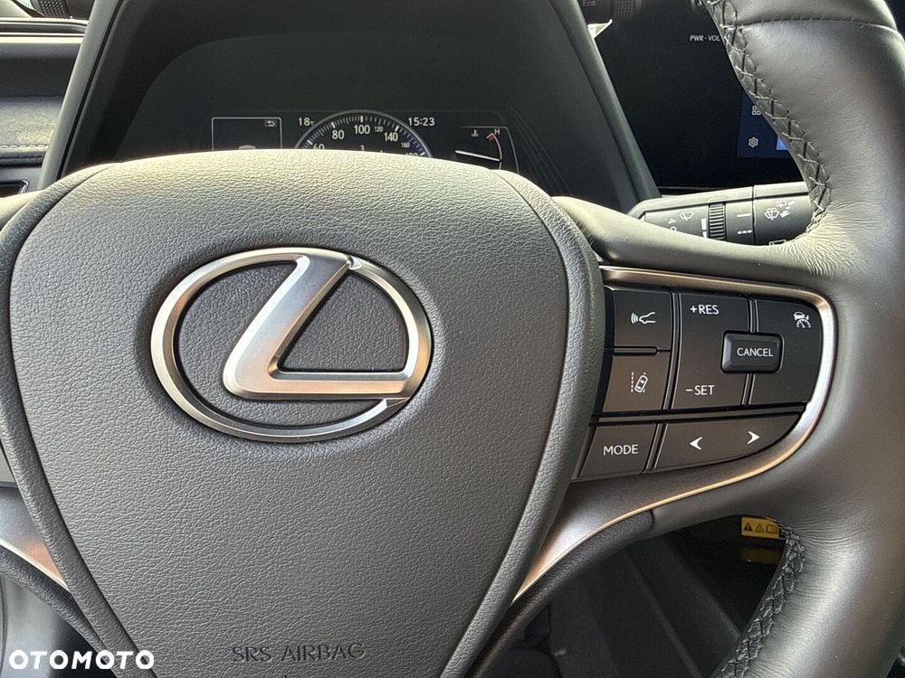Lexus UX 250h GPF F Sport Design+ 2WD - 18
