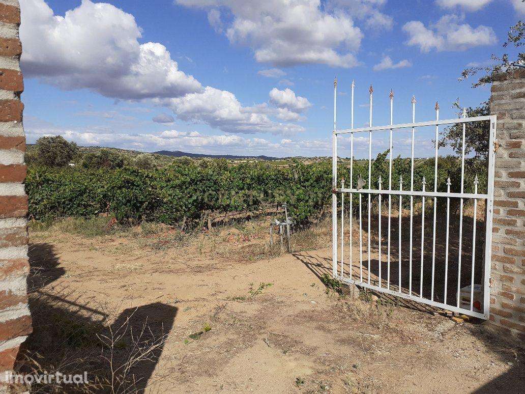 Quinta dos Capuchos, em Vila de Frades - Grande imagem: 2/30