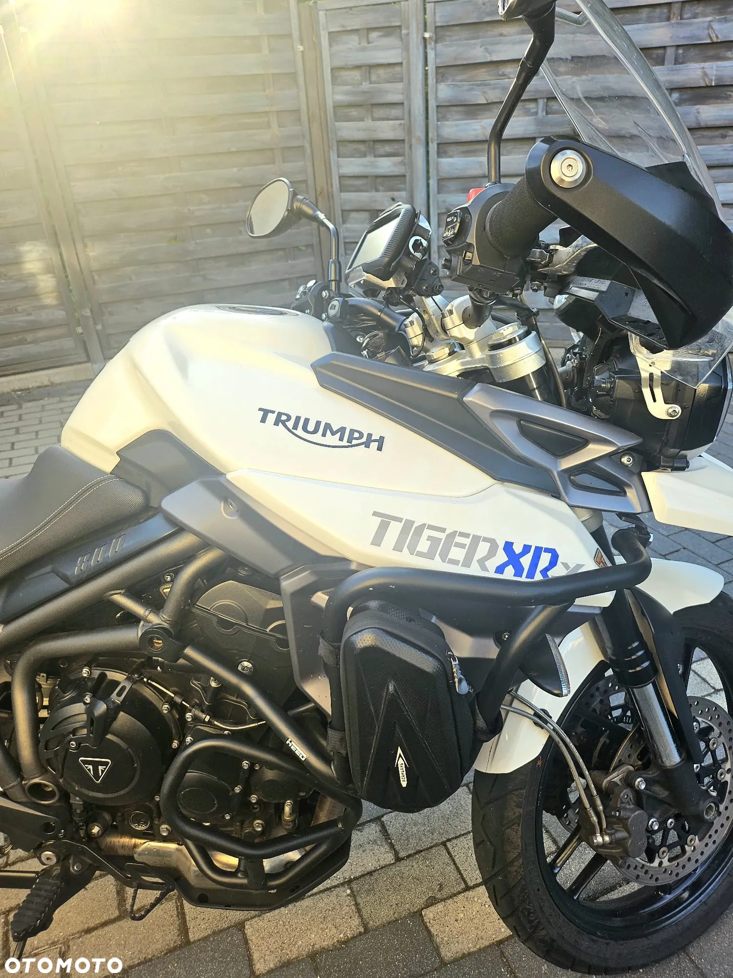 Triumph Tiger - 9
