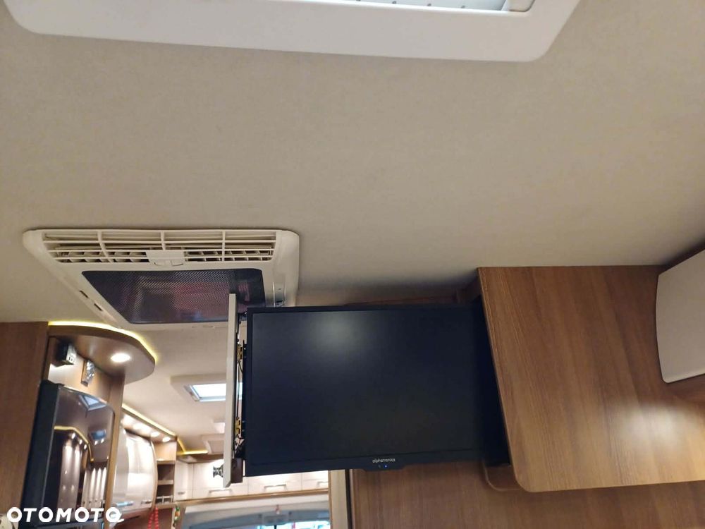 Carthago carthago - 10