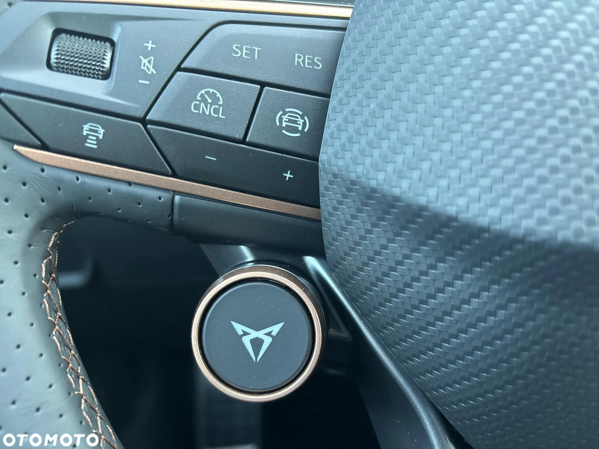 Cupra Formentor 2.0 TSI 4Drive DSG - 17
