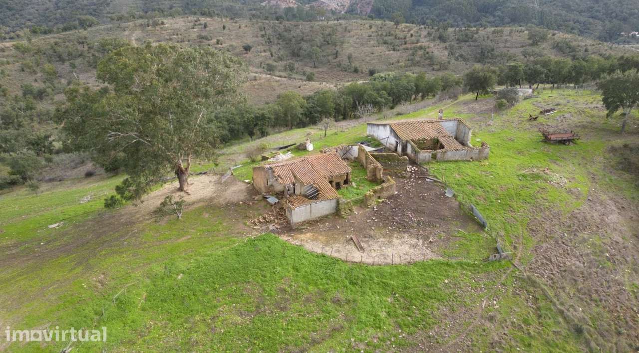 Terreno, 553 000 m², Luzianes-Gare - Grande imagem: 5/6