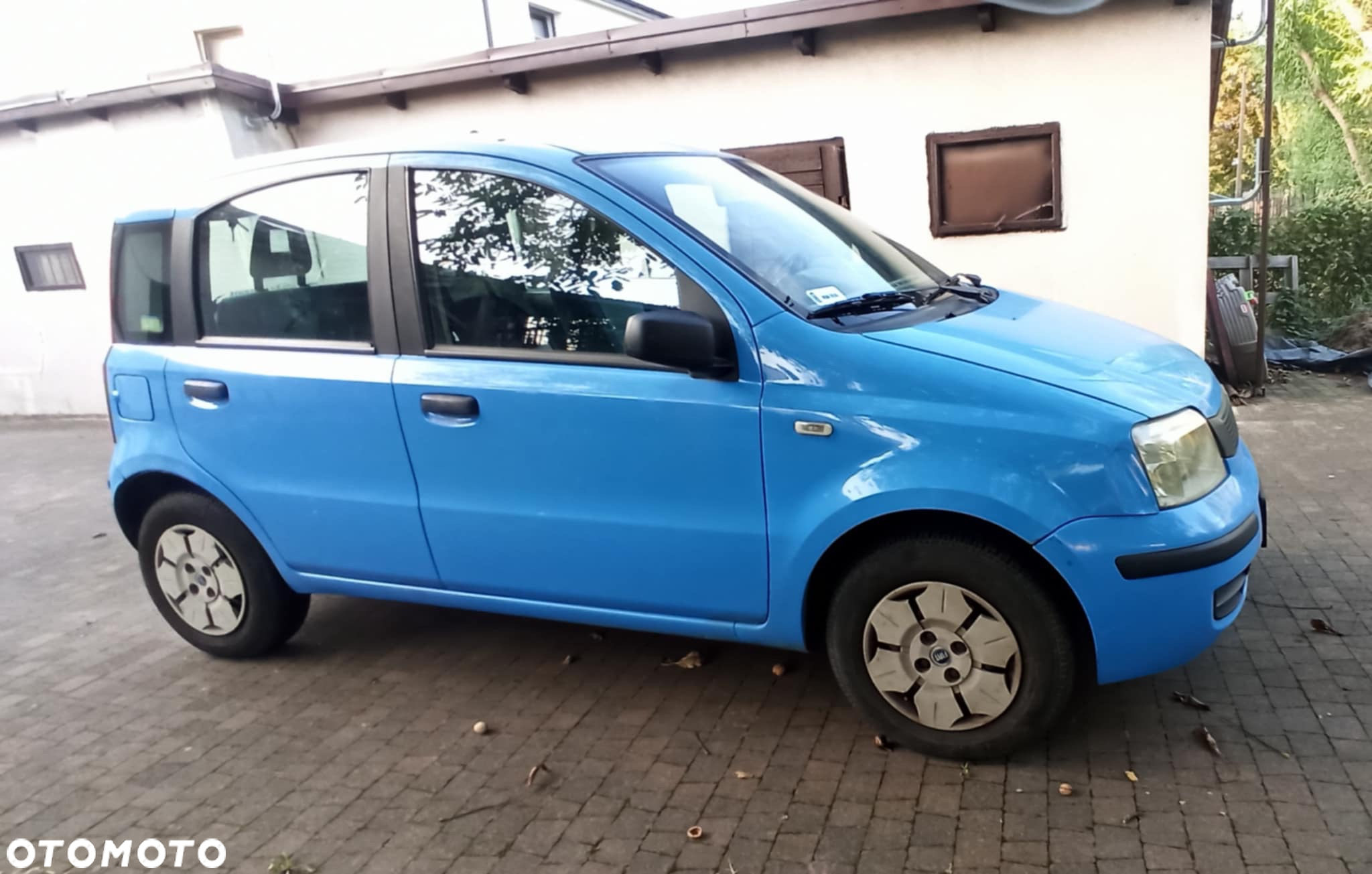 Fiat Panda - 2