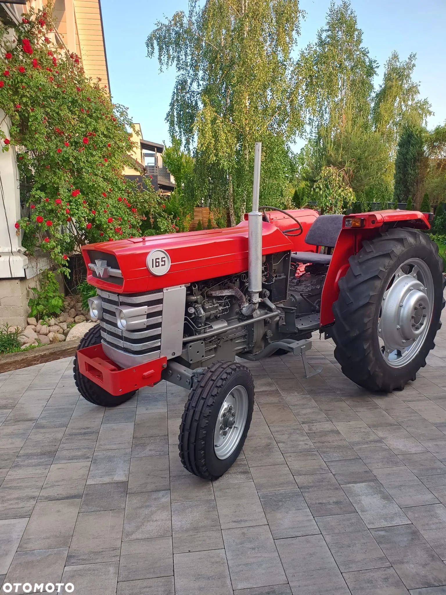 Massey Ferguson - 1