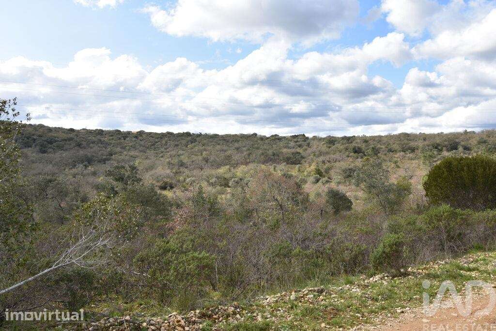 Terreno em Chãos de 13960,00 m2 - Grande imagem: 4/30