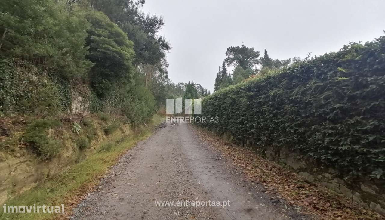 Venda de Terreno florestal com 20 668 m2, Vairão, Vila do Conde - Grande imagem: 3/8
