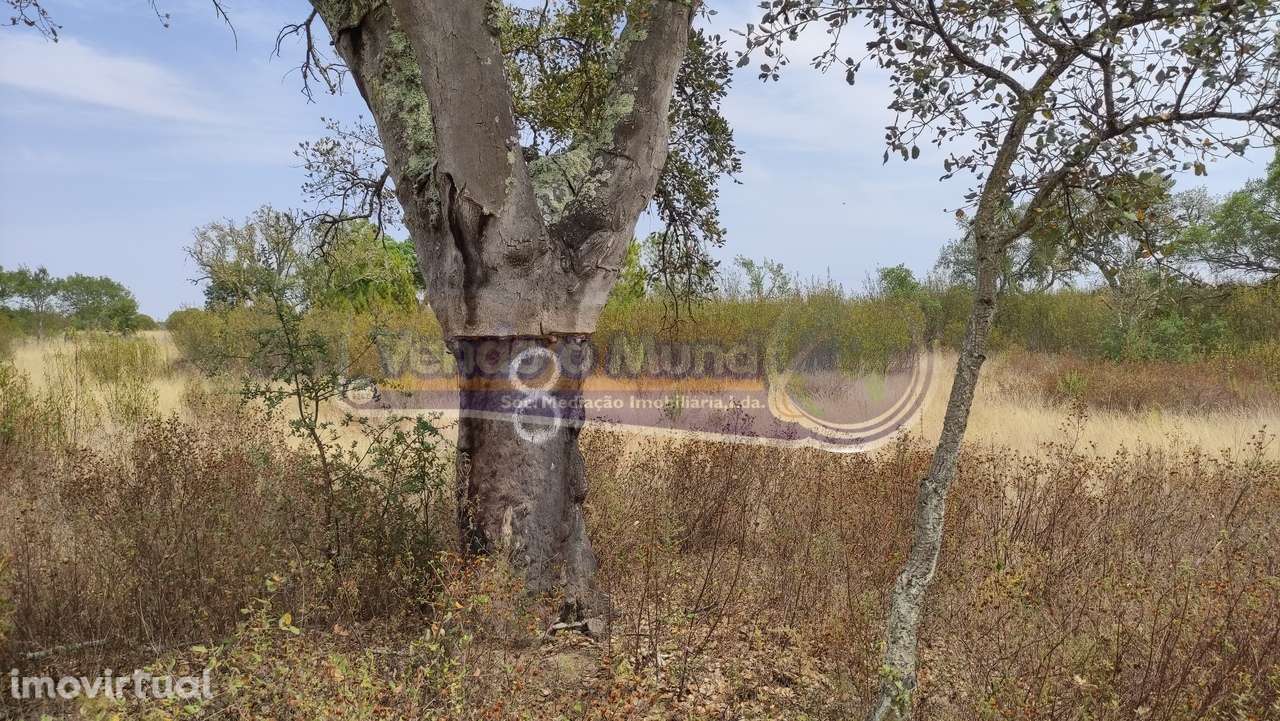 Terreno em Mora (MOR013) - Grande imagem: 3/8